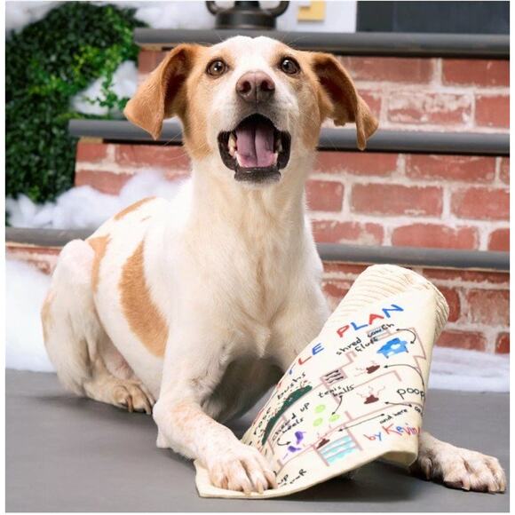 BARK Home Alone Battle Plan Scroll Plush Dog Toy Squeaker‎ Crinkle Thrash Play - Picture 1 of 7